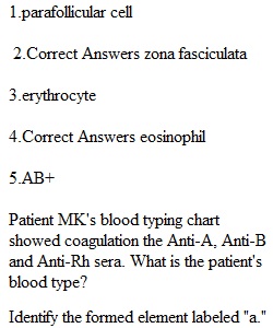 Lab 3 Practice Exam